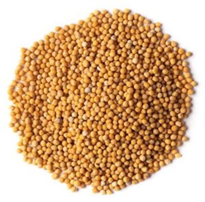 Yellow Mustard Seeds