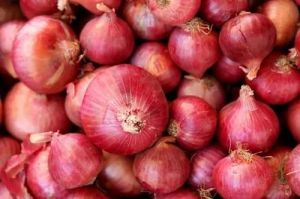 A Grade Red Onion