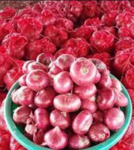 A Grade Red Onion