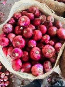 A Grade Red Onion