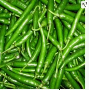 Green Chillies