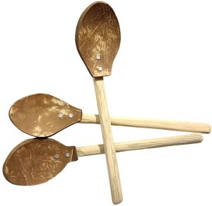 Coconut Shell Spoon