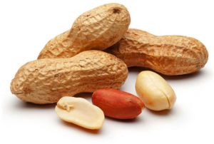 Raw Shelled Groundnuts