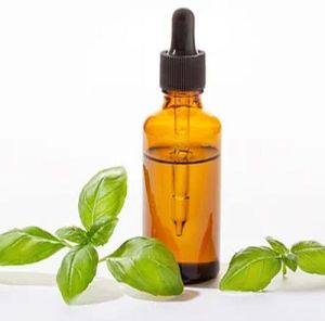 Basil Liquid Soap Fragrance