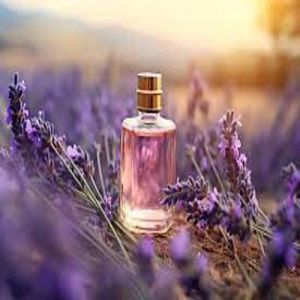 Lavender Liquid Soap Fragrance