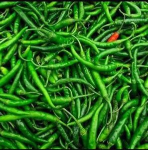 Green Chilli