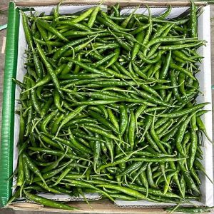 Fresh Long Green Chilli