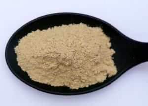 Body Poshak Powder for Women