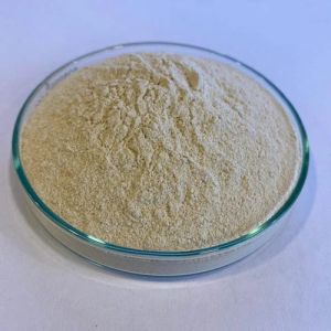 Endurance Gold Powder