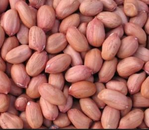 Groundnut Seeds