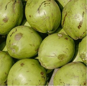 Green Tender Coconut
