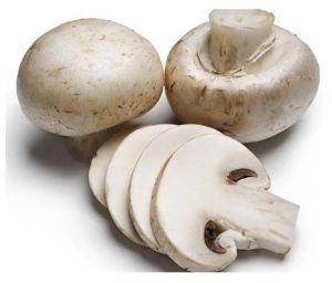 Fresh Button Mushroom