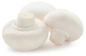 A Grade Button Mushroom