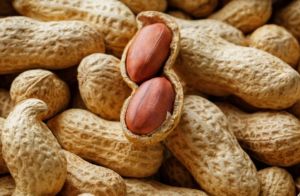 Raw Groundnut with Shell
