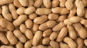 Raw Groundnut with Shell
