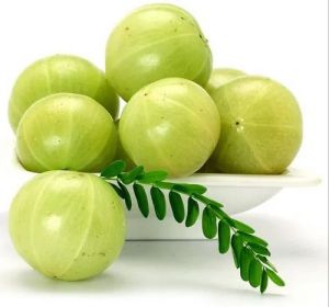 A Grade Green Amla