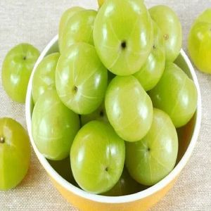 Fresh Green Amla
