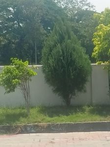 Landscape Development Services