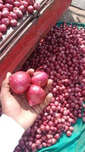 A Grade Red Onion