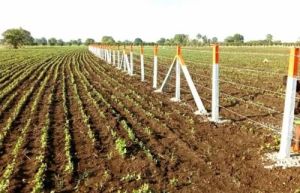 5 Feet RCC Fencing Pole
