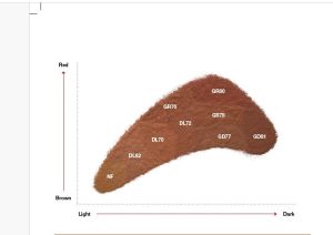 Cargill Cocoa Powder