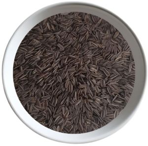 25kg Birdie\'S Sunflower Stripe Imported Seeds
