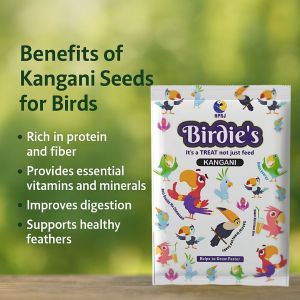 1kg birds premium kangani seeds