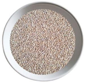 25kg Birdies Moti Kangni Bird Food