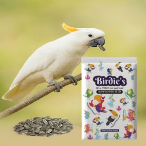 500g birds premium sunflower seeds