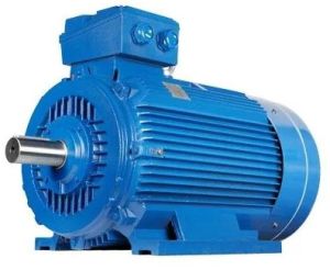 LT Electric Motor