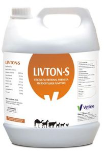 Livton S Liver Tonic