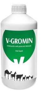 V Gromin Oral Liquid