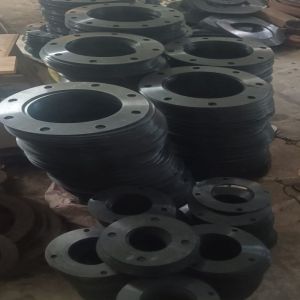 Flanges Gasket