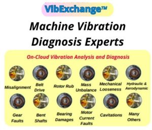 Remote and Online Vibration Analysis / Diagnosis Services