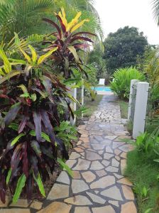 Sandstone Crazy Paving Sandstone Crazy Paving