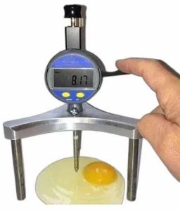 Digital Egg Haugh Tester