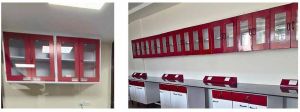 Lab Wall Hang Cabinet