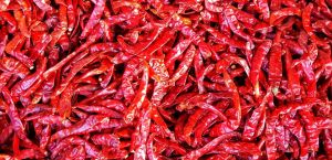 Dry Red Chilli