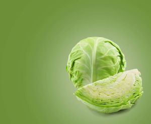 Fresh Cabbage
