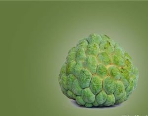 Fresh Custard Apple