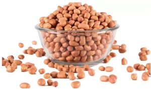 Groundnut