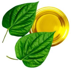 Betal Leaf Oil