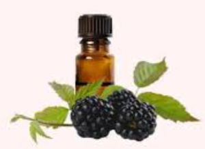 Blackberry Oil