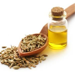 Fennel Seed Oil
