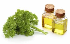 Parsley Oil