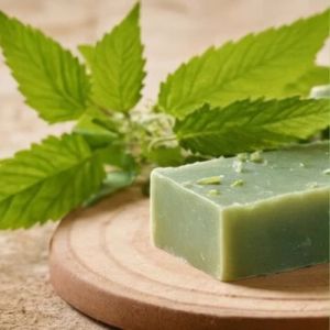 Solid Natural Nettle Leaf Herbal Shampoo Bars