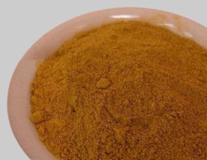 Tamarind Powder Spray Dried