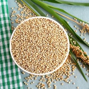 Sorghum Seeds