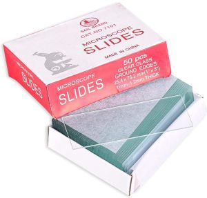 Microscope Glass Slides