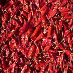 Red Chilli